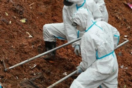 不放棄!MU5735搜尋仍將繼續(xù)