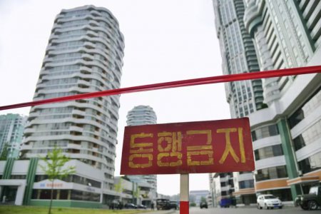 朝鮮新增新冠確診病例96020例