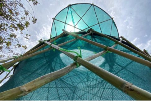 墨西哥用傳統(tǒng)的捕霧方法來應(yīng)對水資源短缺