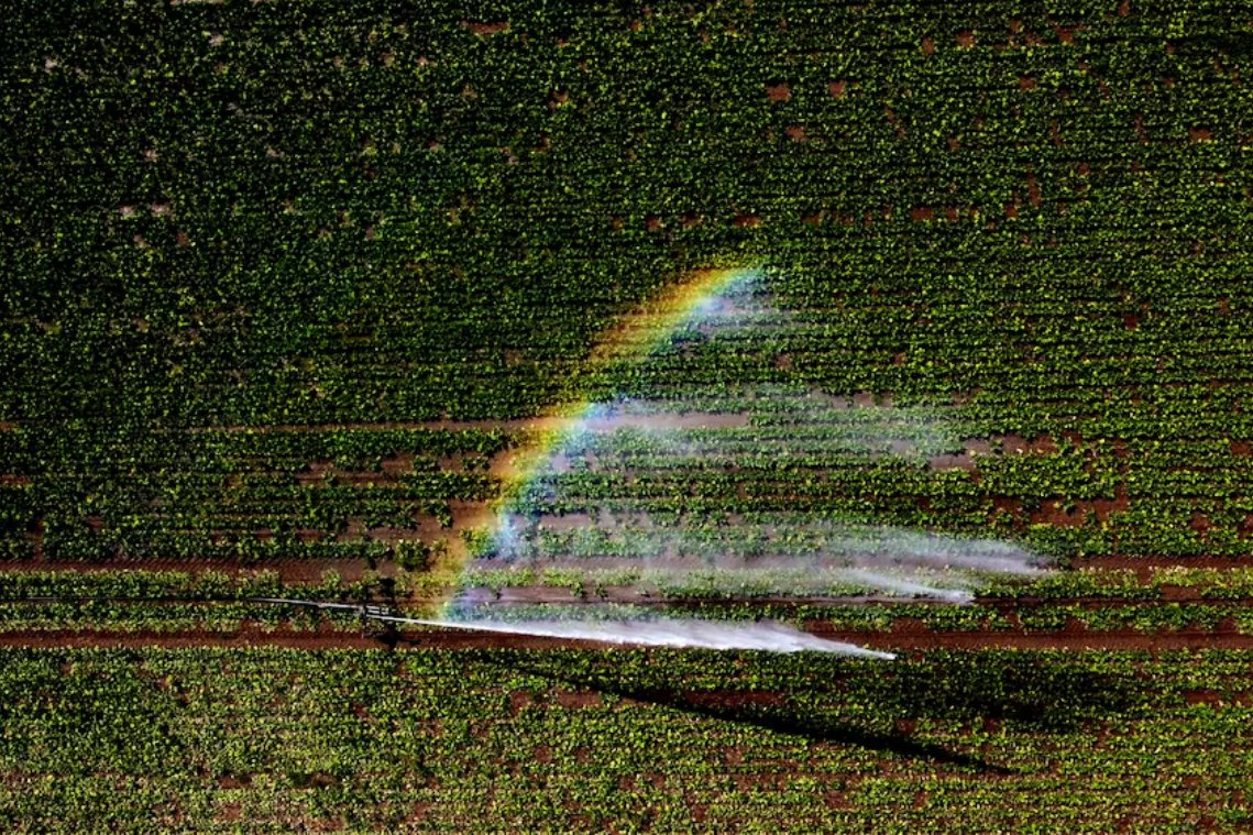 英國干旱嚴(yán)重 約克郡水務(wù)公司將從8月26日起實施軟管禁令