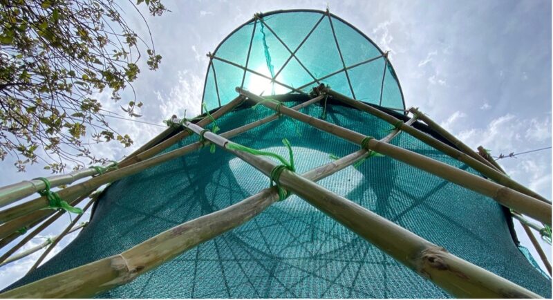 墨西哥用傳統(tǒng)的捕霧方法來應對水資源短缺