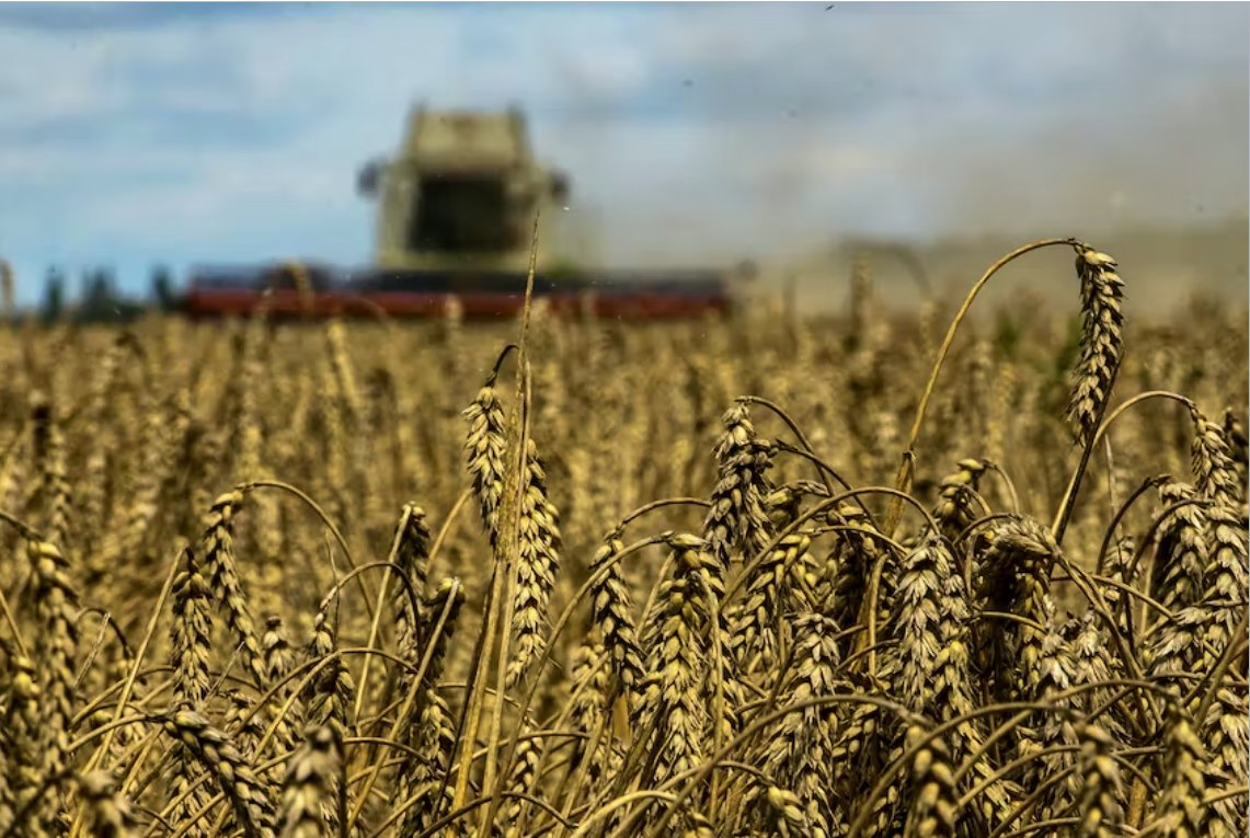 土耳其國防部稱又有兩艘谷物船離開烏克蘭