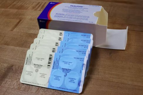 服用輝瑞抗病毒藥物Paxlovid后癥狀反彈可能與免疫反