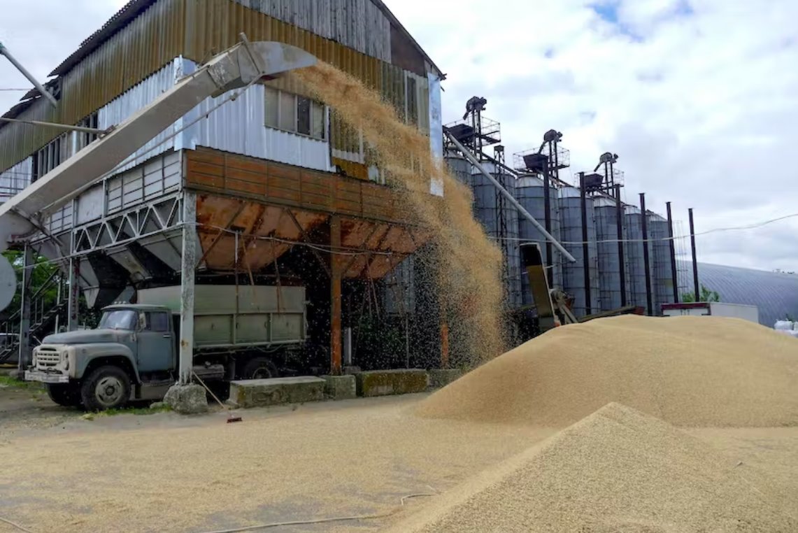 烏克蘭指責(zé)俄羅斯阻止糧食協(xié)議的全面實(shí)施