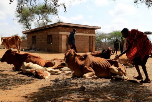 蓋茨基金會承諾為非洲提供70億美元應對氣候變化