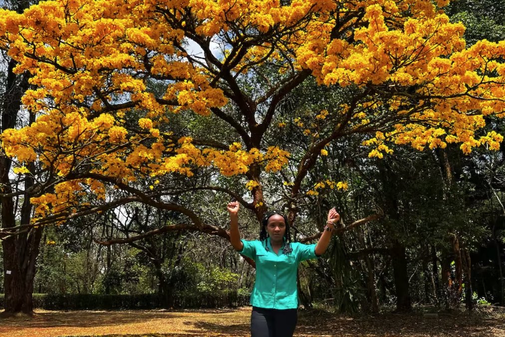 年輕的肯尼亞樹(shù)木活動(dòng)家在COP27上為非洲發(fā)聲