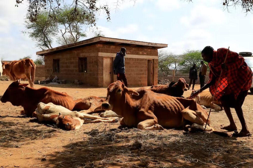 蓋茨基金會承諾為非洲提供70億美元應(yīng)對氣候變化