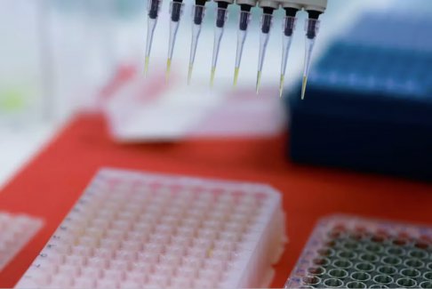 巴西加強(qiáng)禽流感防御以保護(hù)世界頂級(jí)養(yǎng)雞業(yè)