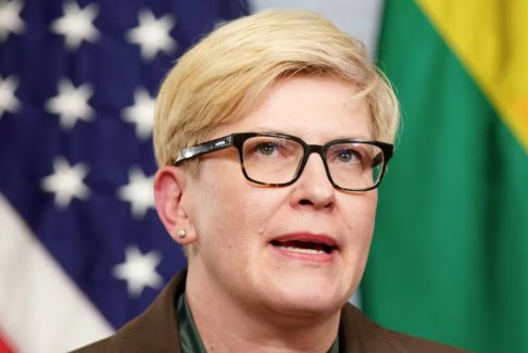 立陶宛議會否決選舉計劃 政府可能辭職