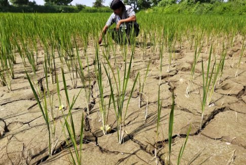 厄爾尼諾現(xiàn)象影響2023-2024年全球天氣