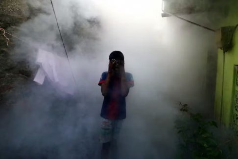 隨著全球變暖使病例接近歷史高點(diǎn) 世衛(wèi)組織警告登革