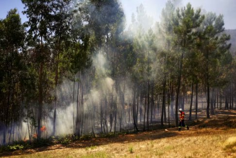 歐洲航天局局長(zhǎng)警告氣候問(wèn)題上的政治動(dòng)搖