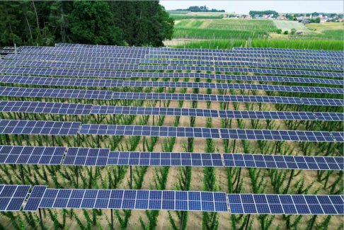 歐洲不再那么擔(dān)心美國(guó)推動(dòng)綠色補(bǔ)貼