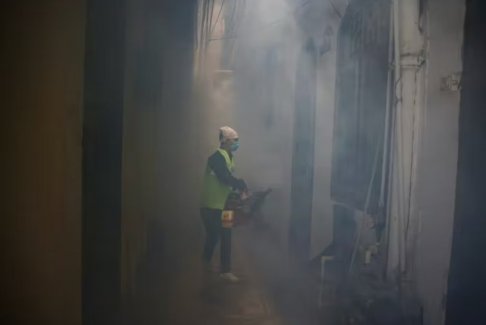 印度免疫學(xué)公司計劃于2026年1月推出登革熱疫苗