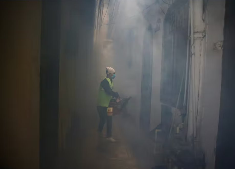 印度免疫學(xué)公司計劃于2026年1月推出登革熱疫苗