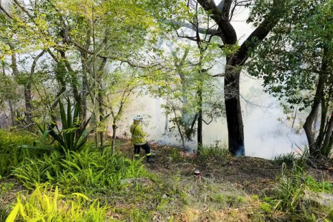 澳大利亞酷熱難耐森林火災(zāi)風(fēng)險上升