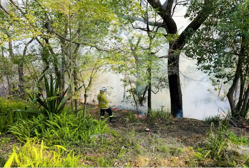 澳大利亞酷熱難耐森林火災(zāi)風(fēng)險上升