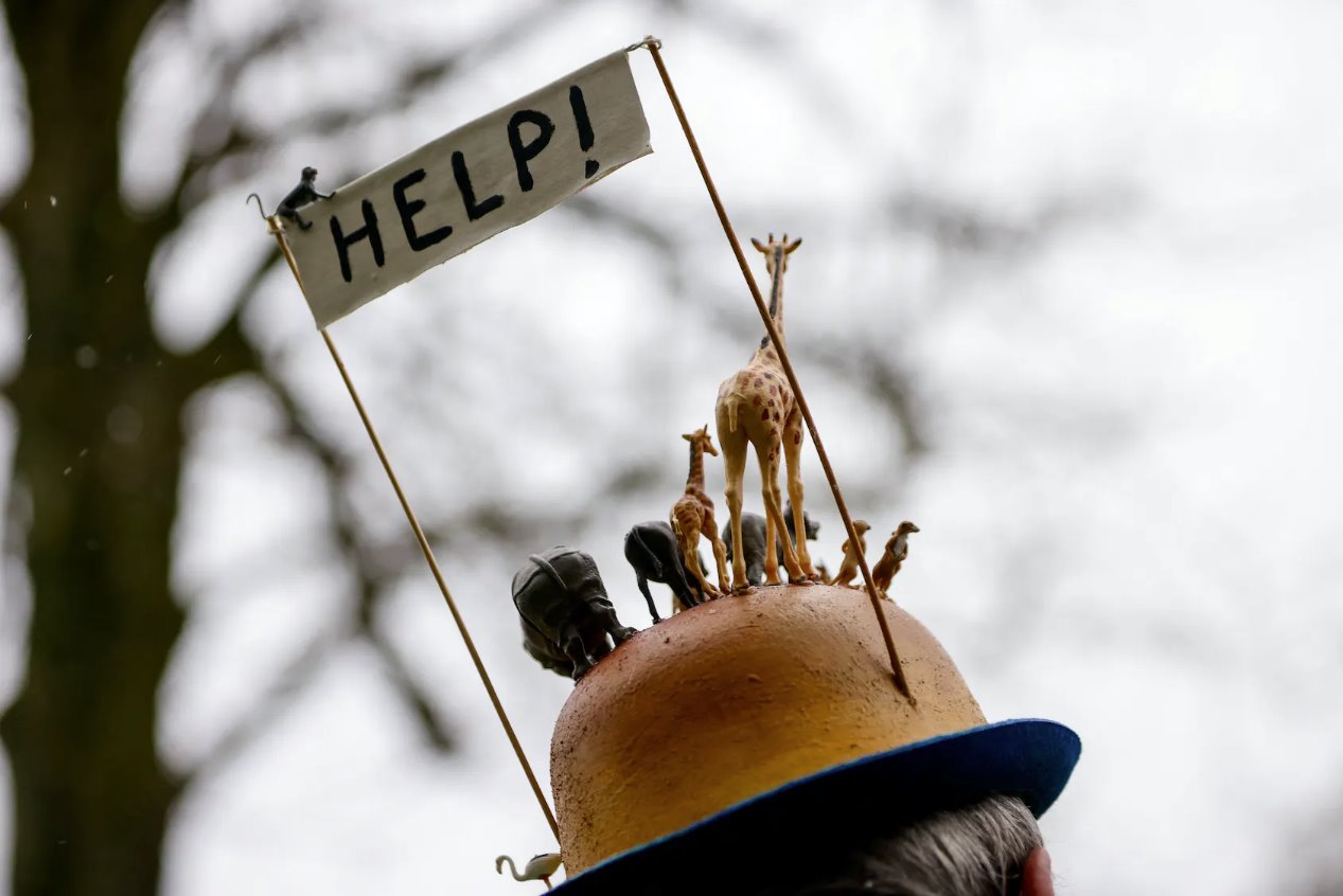 比利時氣候抗議者告訴COP28&ldquo;不存在行星B&rdquo;