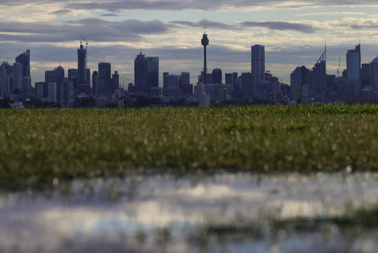 2020年6月29日，澳大利亞悉尼，為遏制冠狀病毒疾病(COVID-19)傳播而實(shí)施的限制放松，市中心的天際線清晰可見。