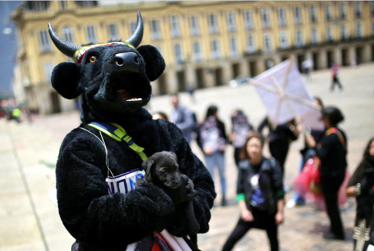 2022年10月5日，哥倫比亞波哥大，一名動(dòng)物權(quán)利活動(dòng)人士抱著一只小狗參加示威活動(dòng)，要求批準(zhǔn)一項(xiàng)禁止斗牛、斗雞和虐待動(dòng)物活動(dòng)的法律。