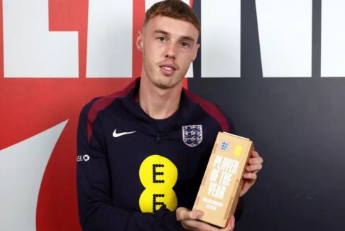 帕爾默被評(píng)為英格蘭年度最佳男子球員