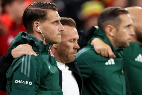 威爾士教練對貝拉米來說意味著“一切”