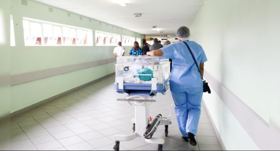 諾如病毒傳染性極強，感染胃和腸道。