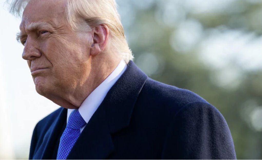 2022年，特朗普對斯蒂爾的公司OrbisBusinessIntelligence提起數(shù)據(jù)保護索賠。