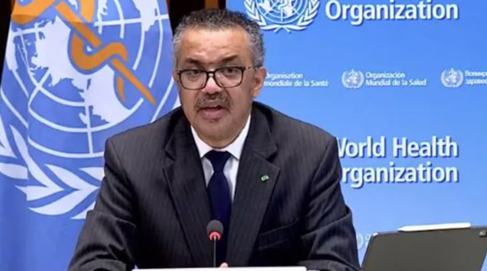 世衛(wèi)組織總干事表示,只有政治解決方案才能帶來有意義的和平。