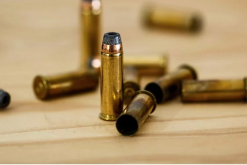 美國男子被寵物狗槍擊中彈