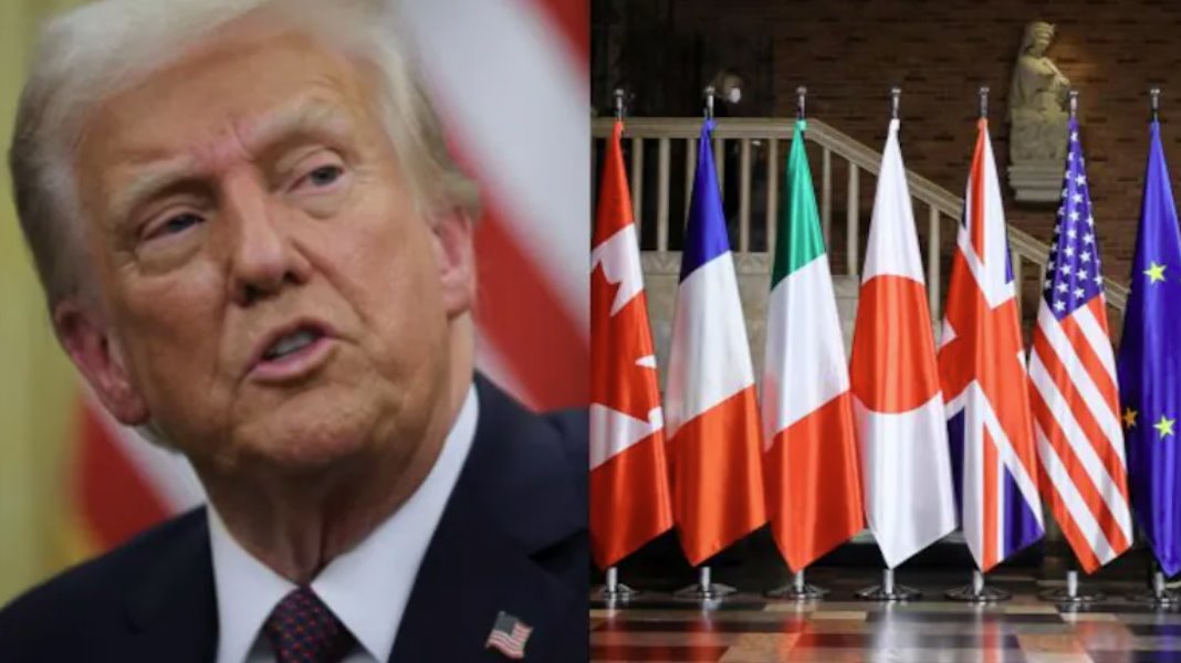 特朗普將于6月14日在白宮組織一場(chǎng)綜合格斗（MMA）比賽